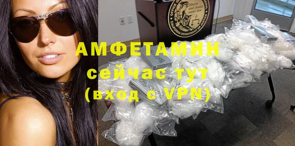 сатива Абаза