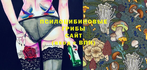 Альфа ПВП Алексин