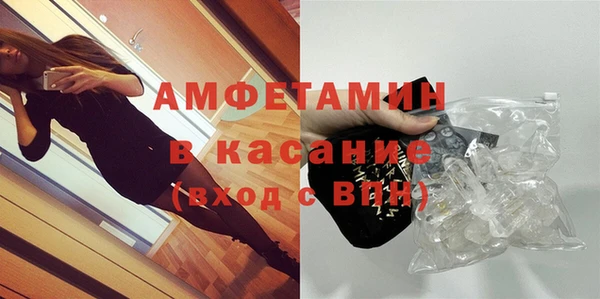 сатива Абаза